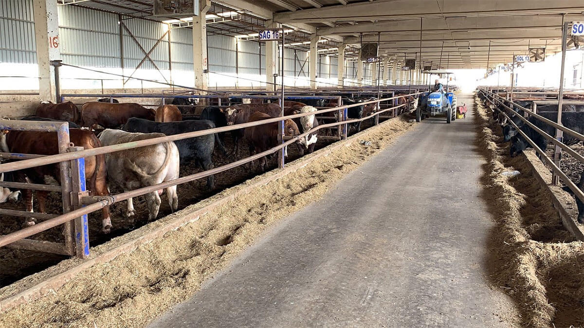 Aydoğan Çiftlik - Mehmet Aydoğan - Trabzon Adak Kurban Satış Hizmetleri