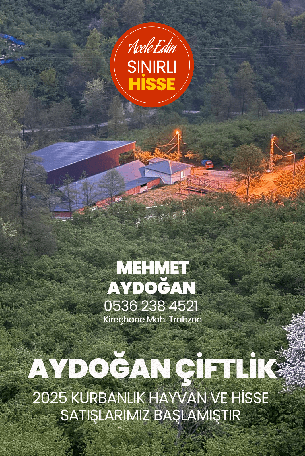 Trabzon Kurban Satışı - Aydoğan Çiftlik Kurbanlık Büyükbaş Hayvanlar